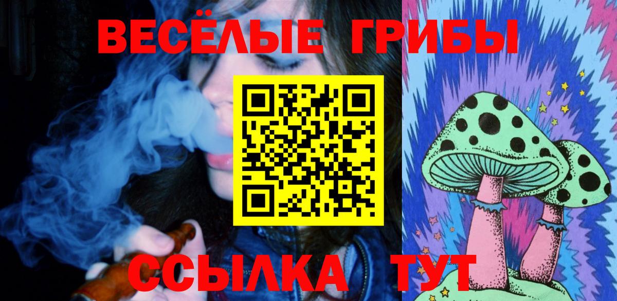 Соликамск  купить закладку  Вход с VPN  Галлюциногенные грибы GOLDEN TEACHER 