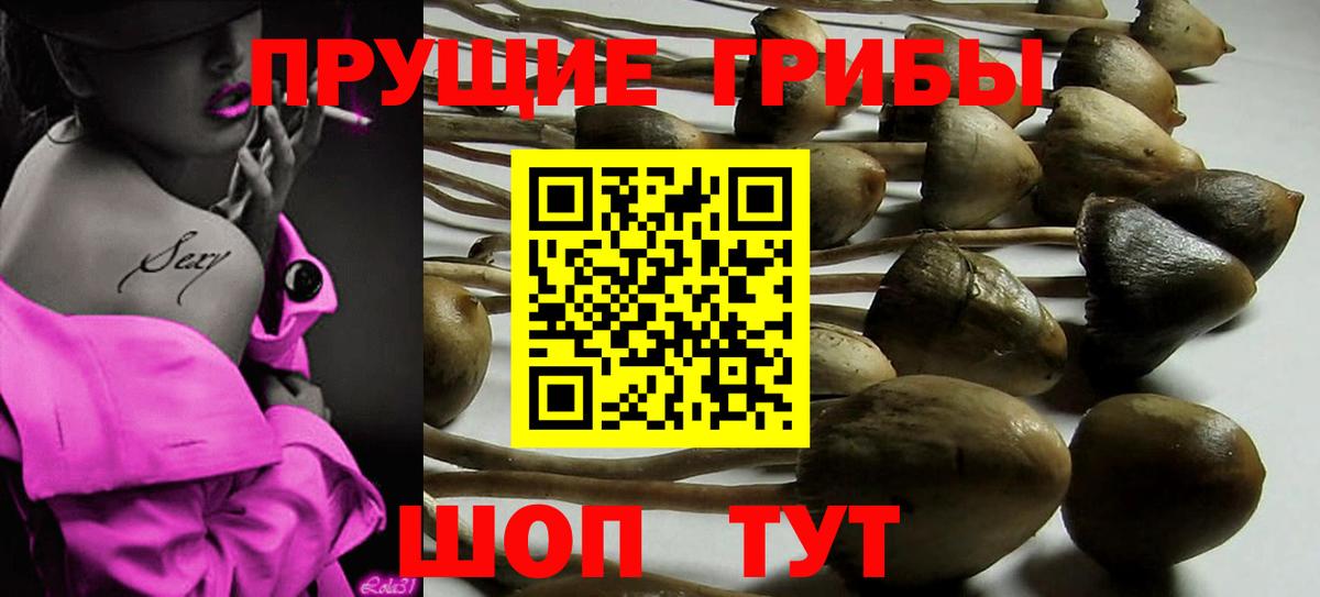Псилоцибиновые грибы прущие грибы Соликамск